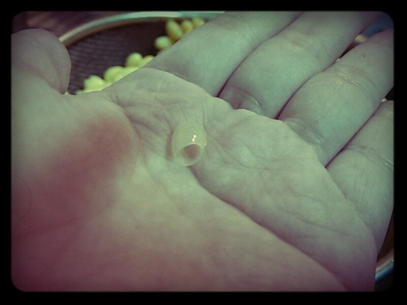 ��֭�����ơ�����Ӫ��������������