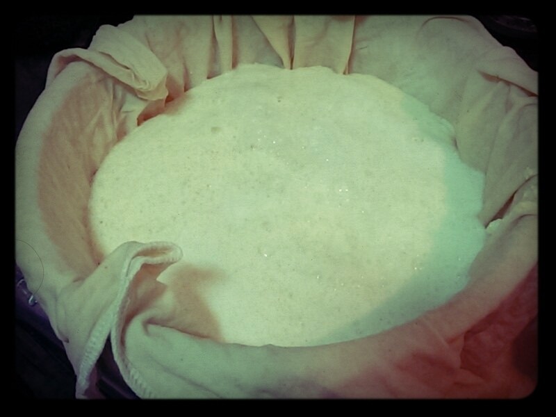 ¹ûÖ»ú×ÔÖÆ¡ºÎÞÌÇÓªÑø¶¹½¬¡»µÄ×ö·¨