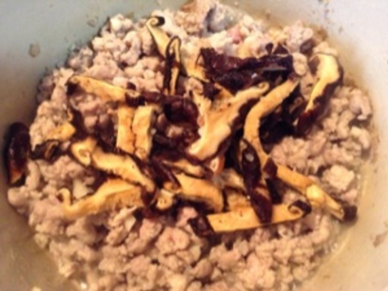 �㹽��������±---���Ÿ���Ʈ������������