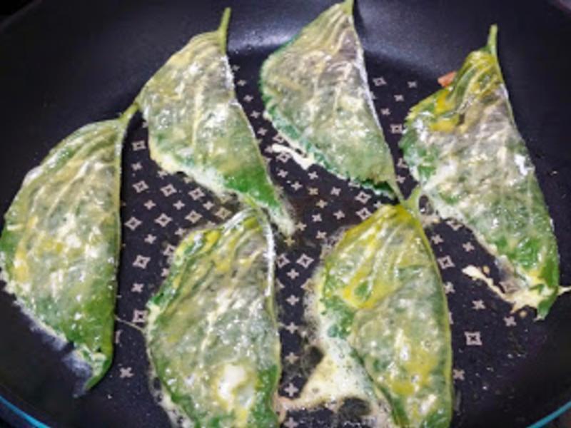 ֥��Ҷ�ݲ�������???????������