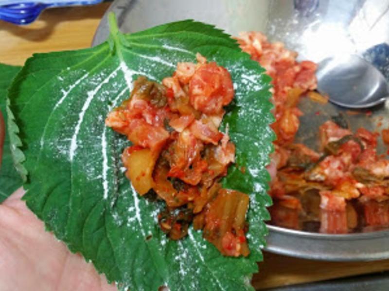 ֥��Ҷ�ݲ�������???????������