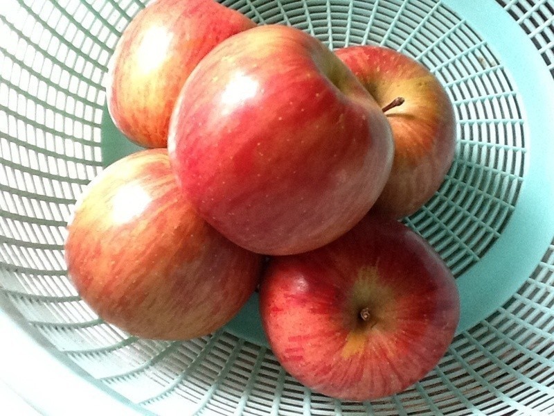 ����-ƻ���׵�����