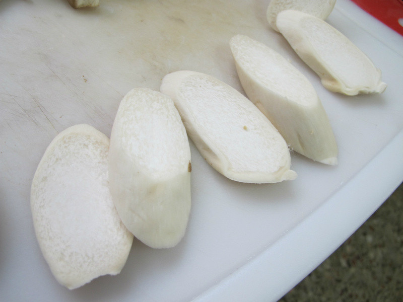 ������?�h�������ӱ���������