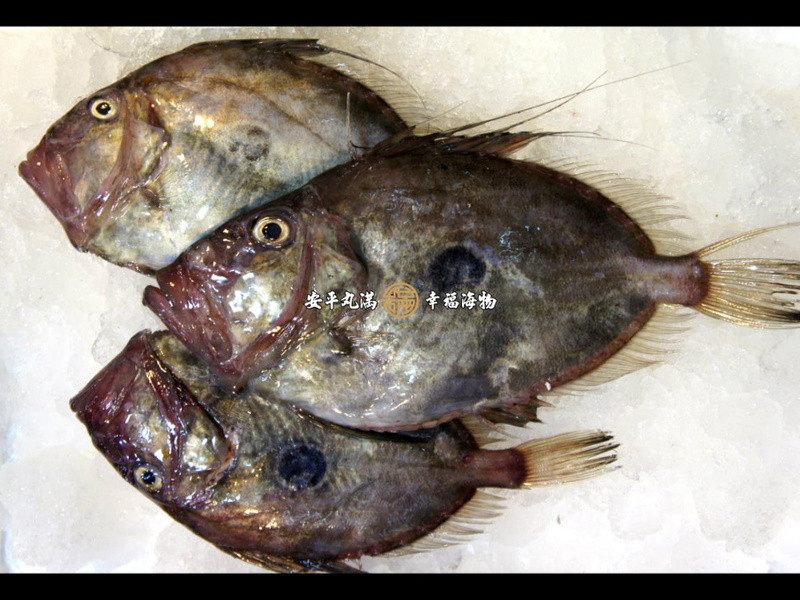 ������ʽ��ζ����������