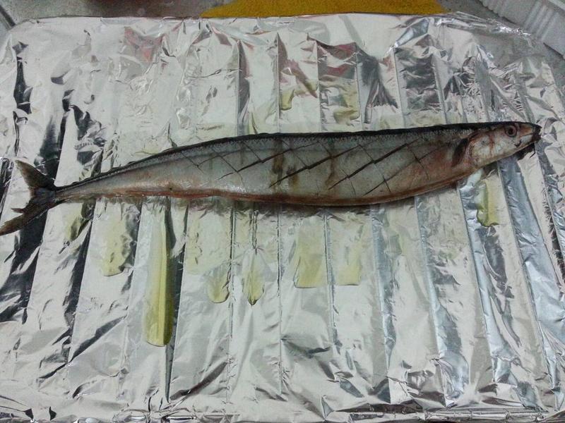 һ�������OK!�տ��ﵶ�������