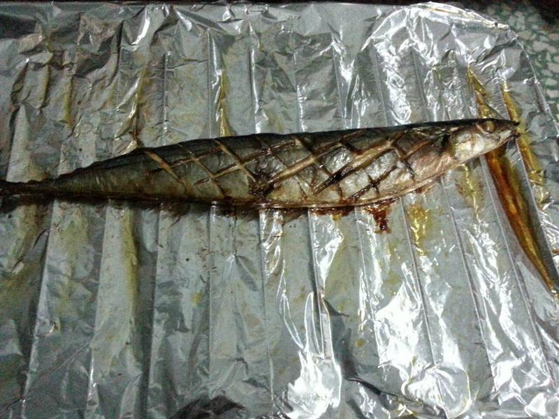 һ�������OK!�տ��ﵶ�������