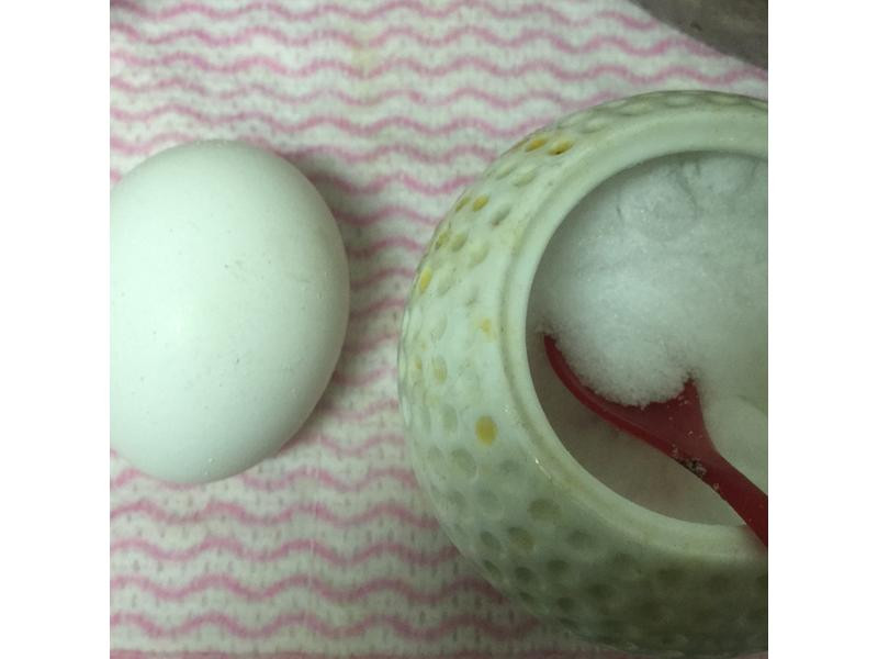 ˮ�󵰵�����