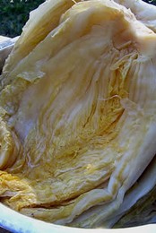 东北酸菜腌渍法的做法