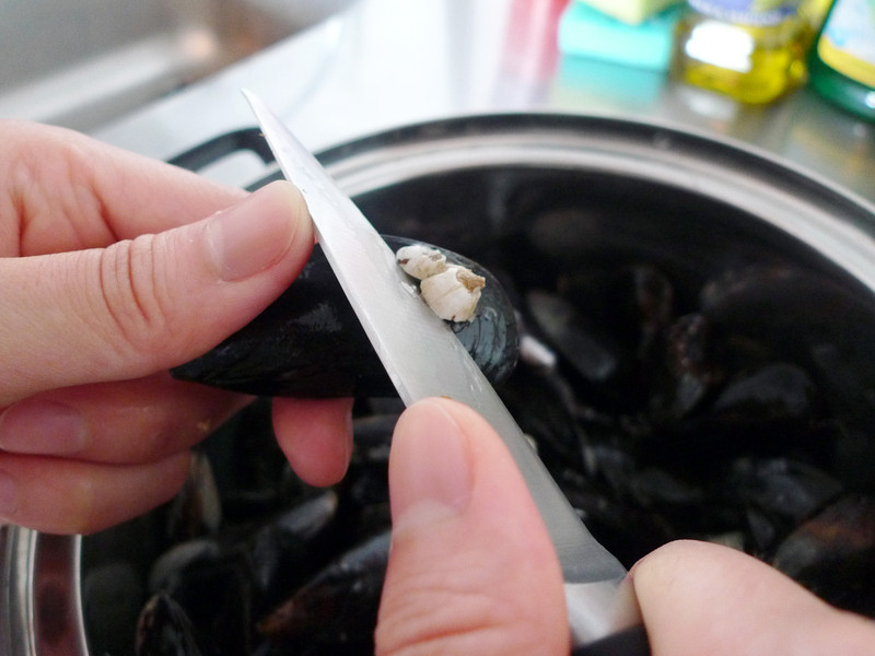 ��ζ���˹�������