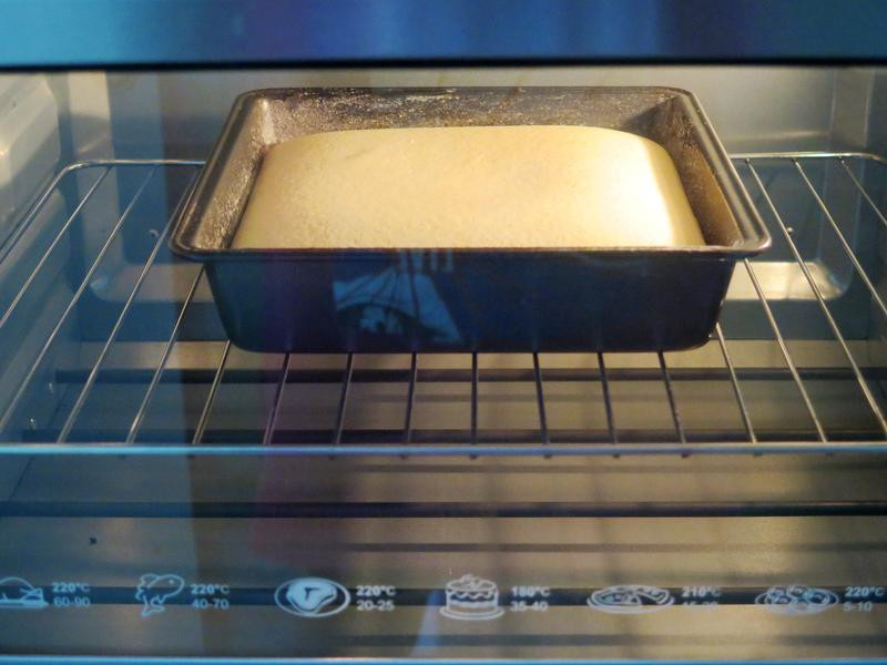 ��ʽ��ţ�̵��������