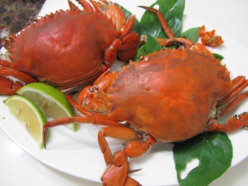 [һз����]�����з������