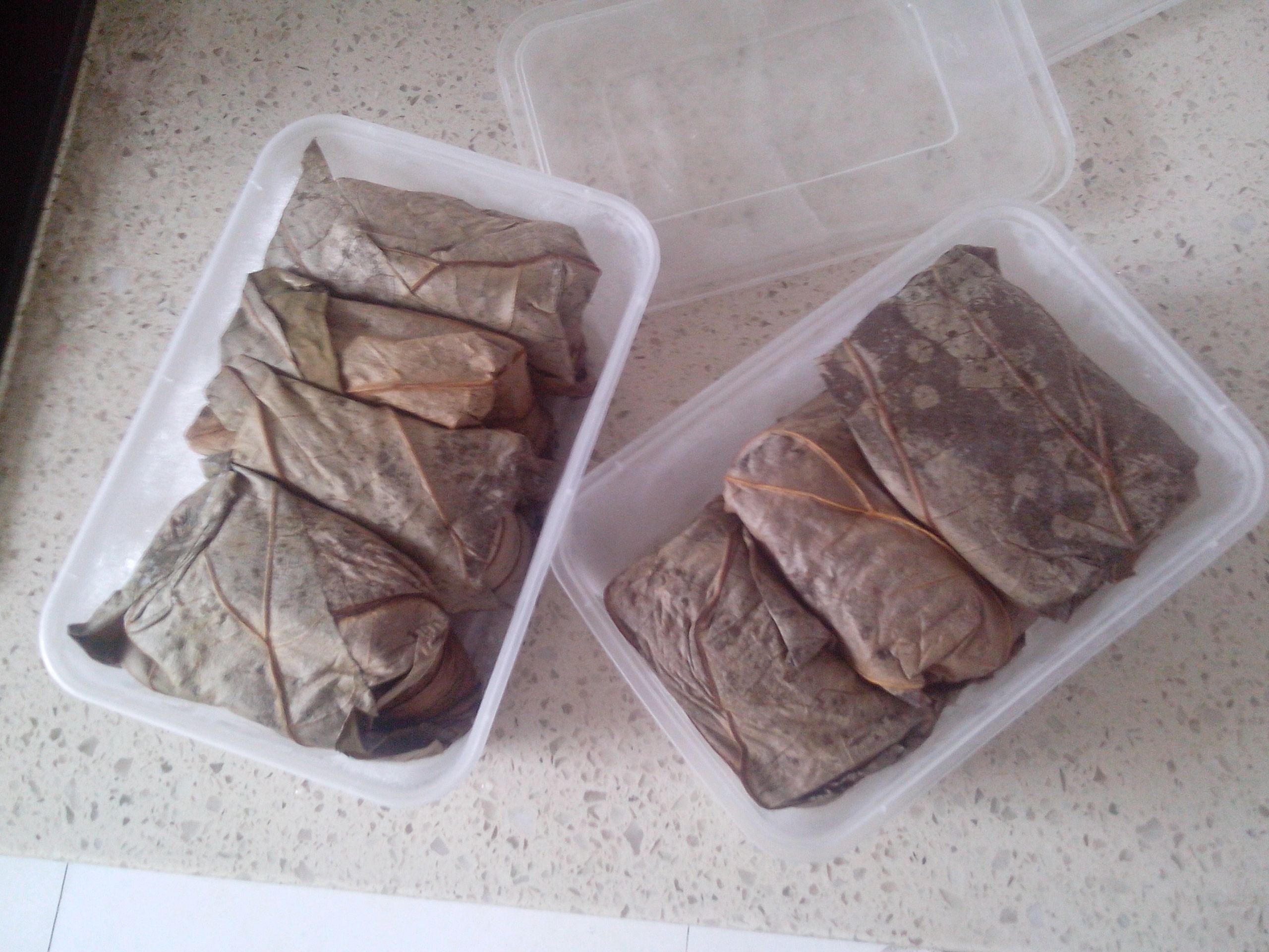 ����Ŵ�׼�������