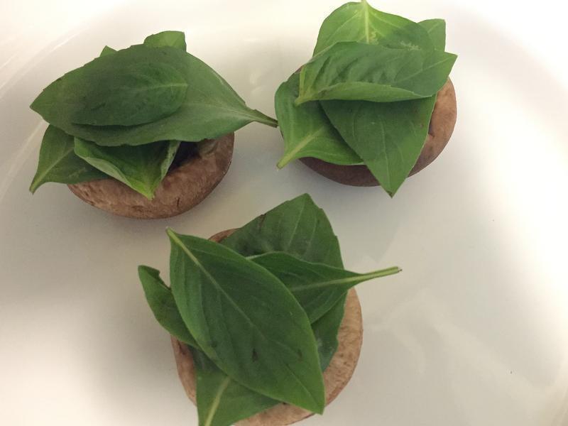 Ģ��mini����������