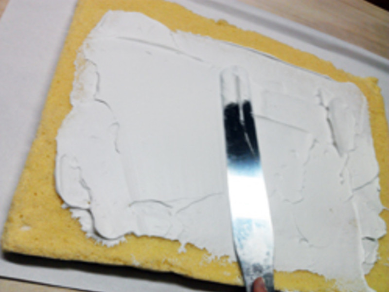 ��ݮ������ʿ��������