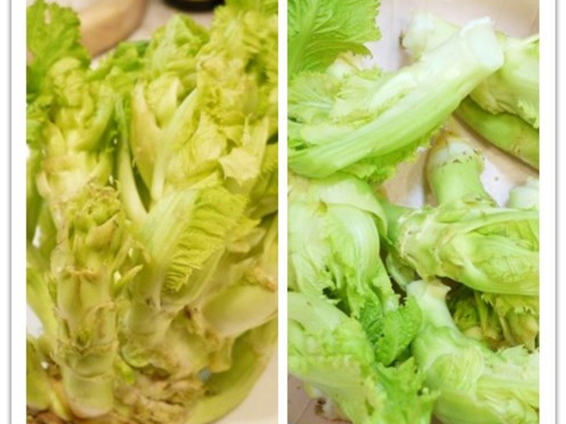 ���޲˸��ü���������