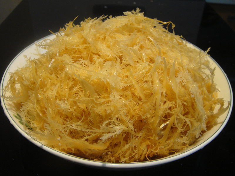 �����ѵ�����