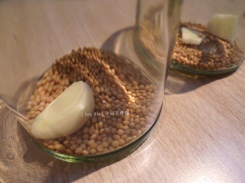 ������ƹϵ�����