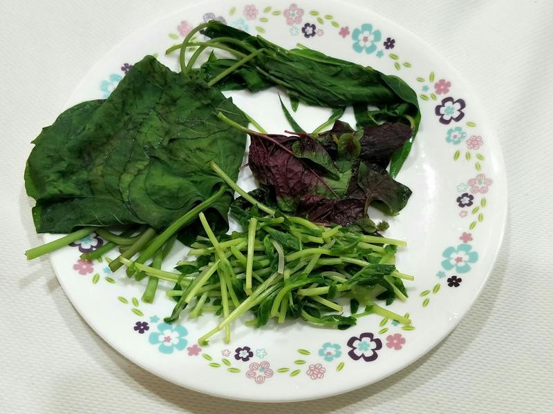 ���Ƶ�����ͪ������������