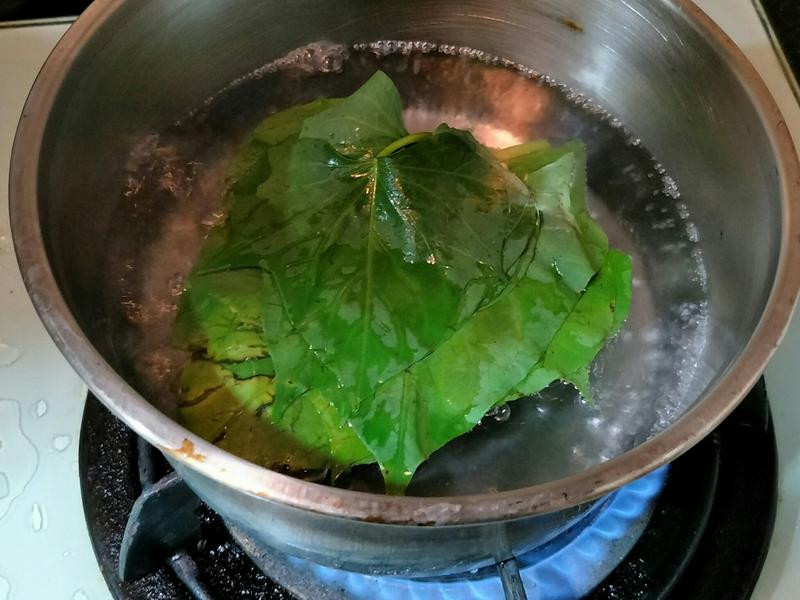 ���Ƶ�����ͪ������������