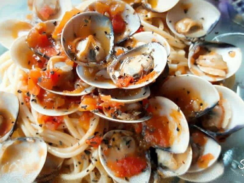 ����ެ�Ѹ���������������