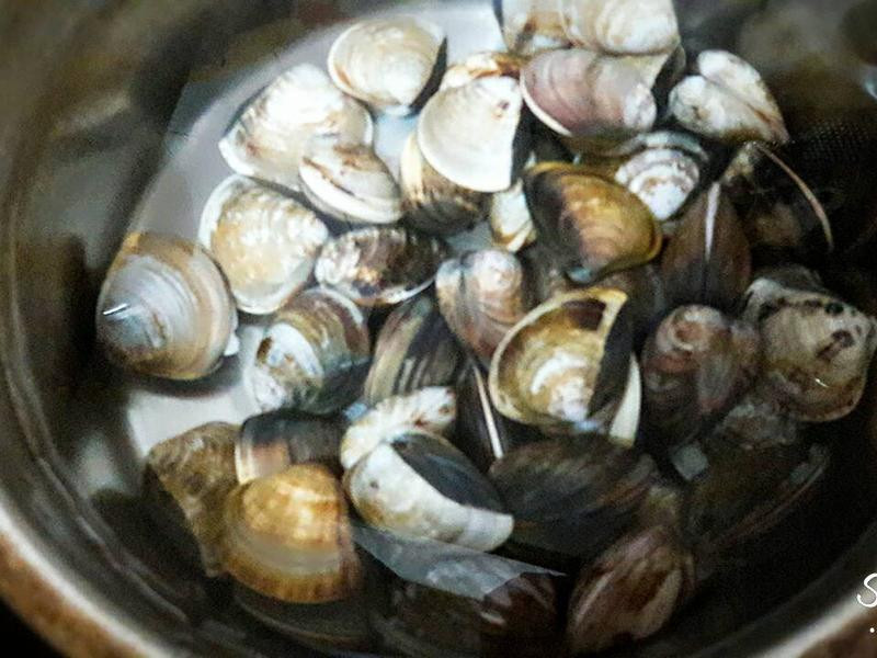 ����ެ�Ѹ���������������