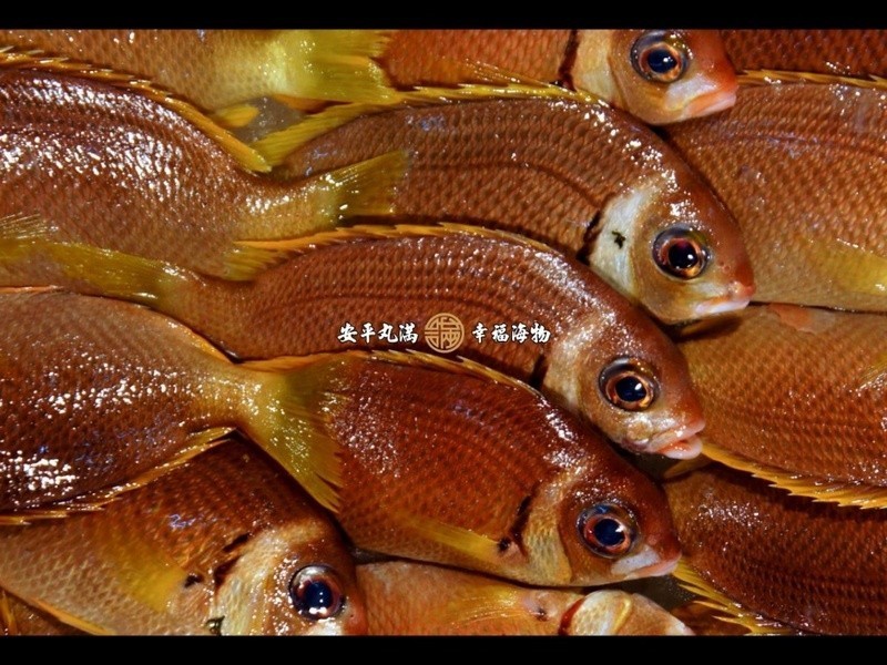 ���Ҹ����������(�׾���β��)��˿����������