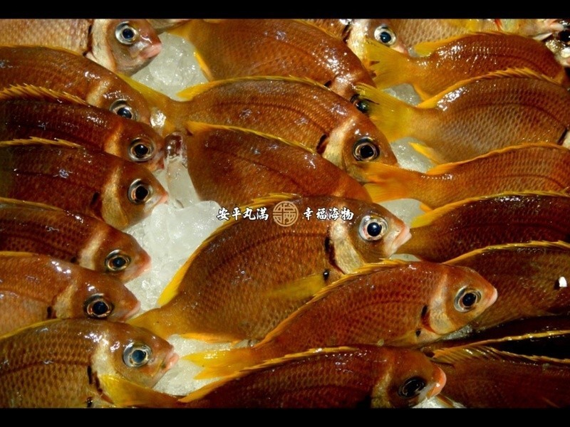 ���Ҹ����������(�׾���β��)��˿����������