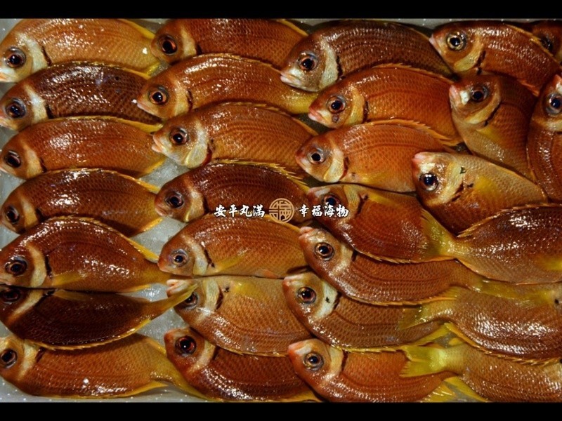 ���Ҹ����������(�׾���β��)��˿����������