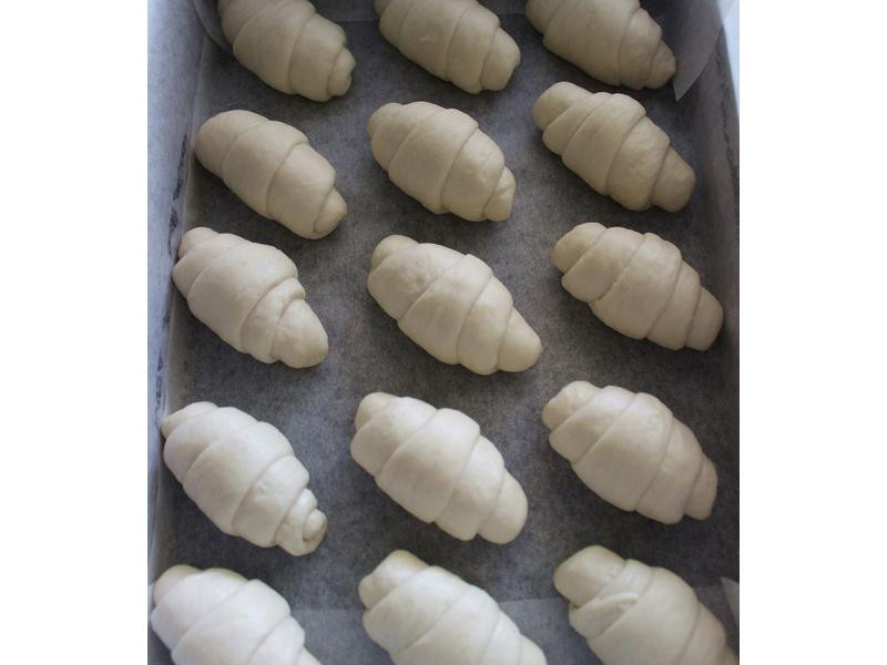 �Ÿ������ͲͰ�������