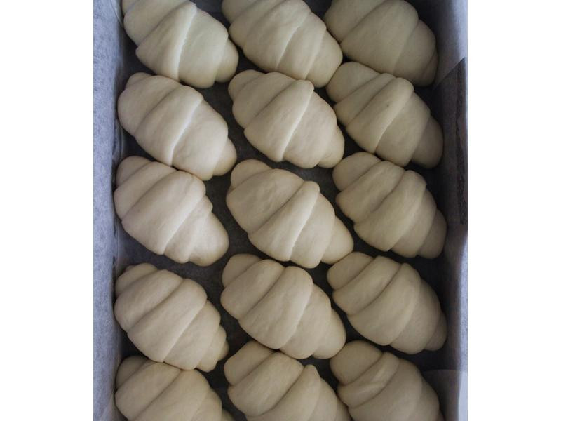 �Ÿ������ͲͰ�������