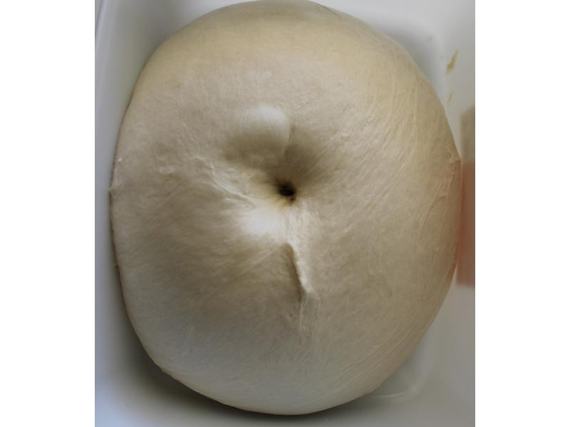 �Ÿ������ͲͰ�������