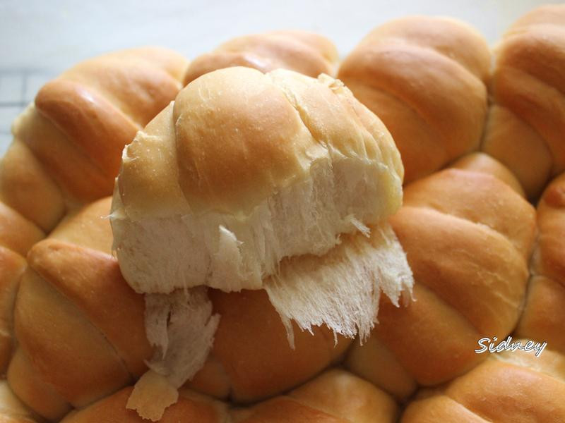 �Ÿ������ͲͰ�������