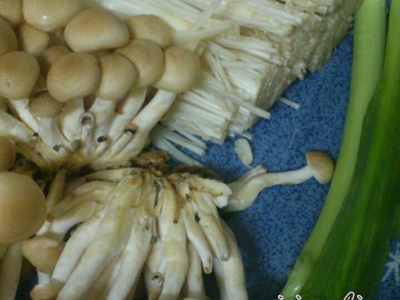 ʱ�����ĸ�¶֮ζ~����˫��������