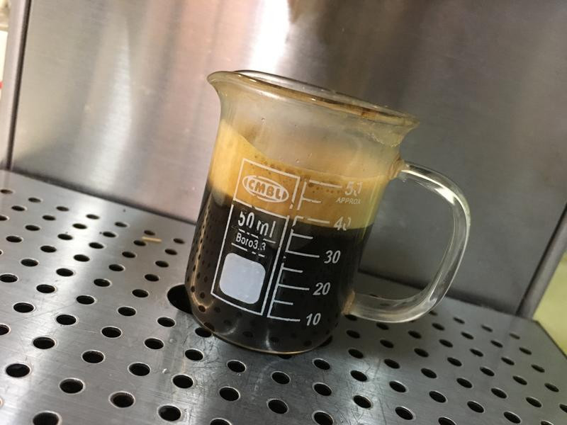 ����������ţ�������