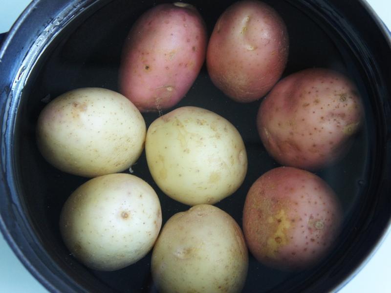 �����㡿�����Ϳ�������������