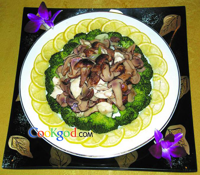 鲍汁鸡片松茸的做法