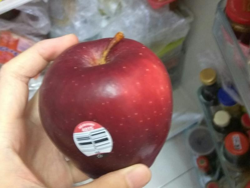 �Ϳ�����Ƥƻ���ɵ�����