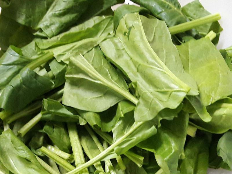 �������㼦�⳴���˵�����