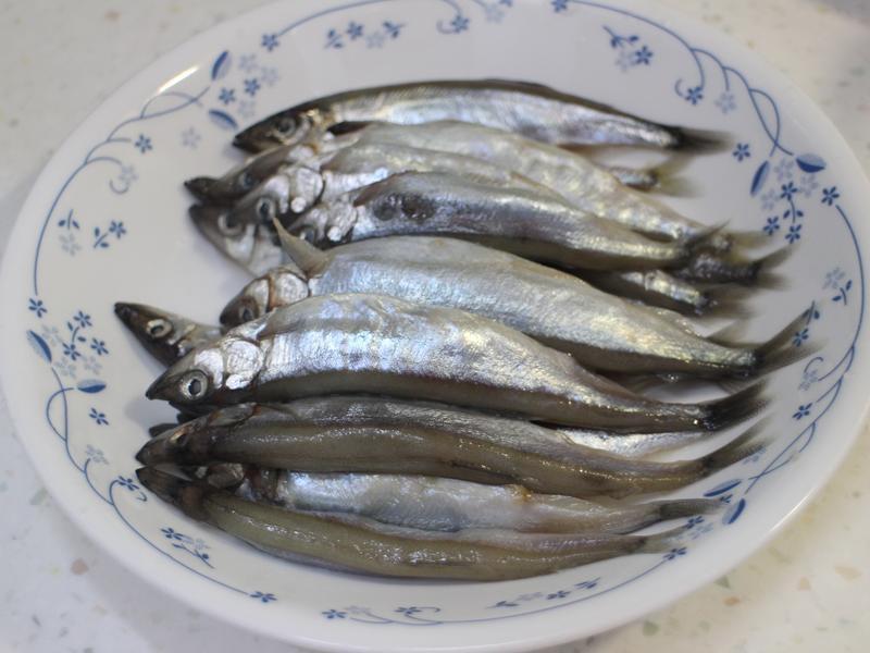 ��Ҷ���¶�������