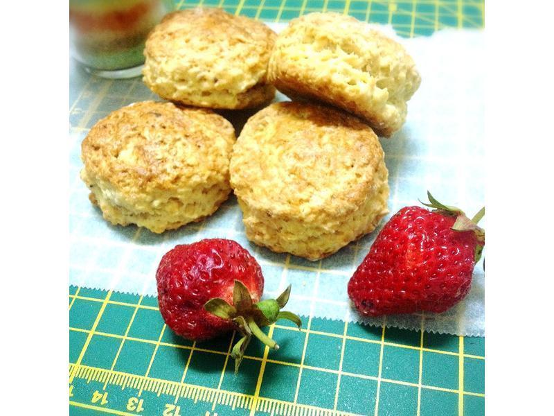 ��ݮ�ʹ�˾���ۺ決չʳ��ļ���ݵ�����