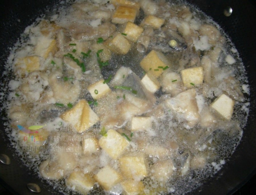 ��Ƭ������  ��֬���ǵ�����