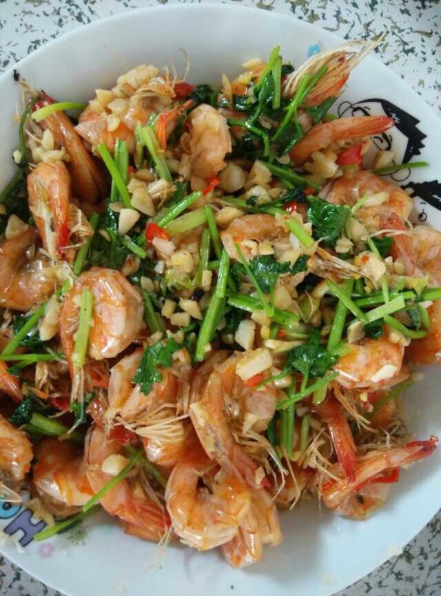 ơ�ƴ�Ϻ������