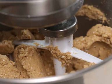 ʥ��������ɵ�����