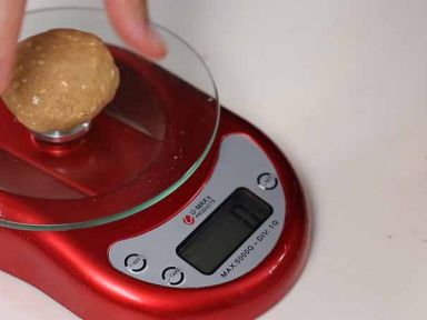 ʥ��������ɵ�����