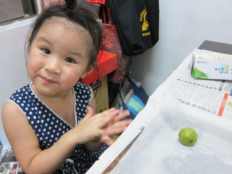 Ĩ���ɿ���������Խݮ���ɵ�����