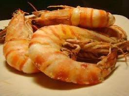 ���ο���Ϻ������