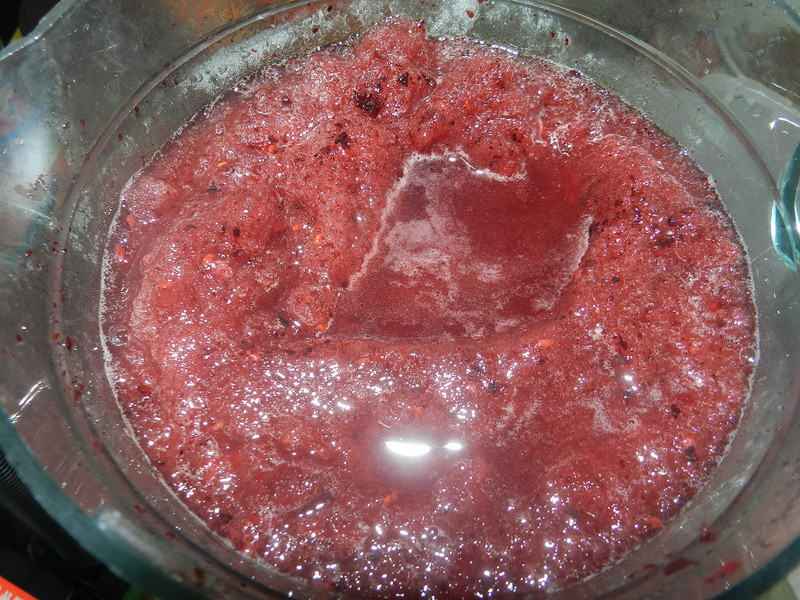 ��ݮ��ɳ������