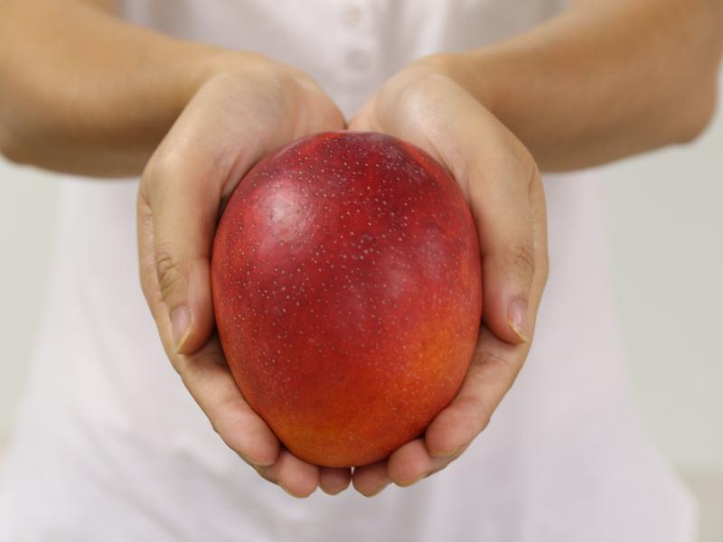 2���裬�Լ���â���Ÿ��ɳ������