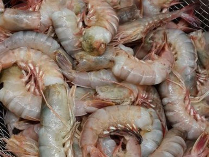 ����б���Ϻ������