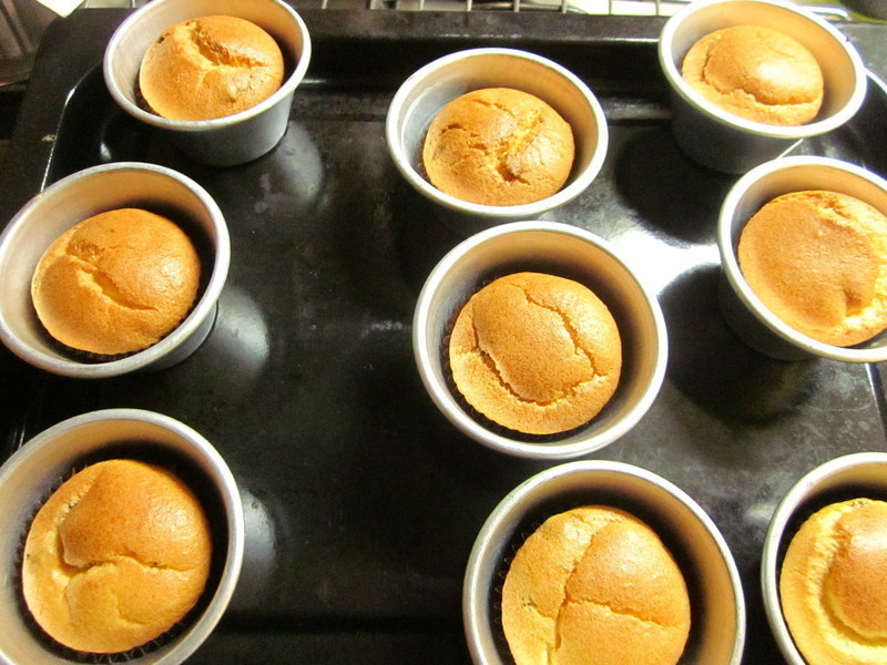 ��ʧ���������ݷ絰�������